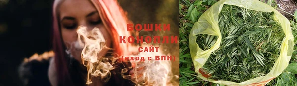 гидропоника Гусиноозёрск