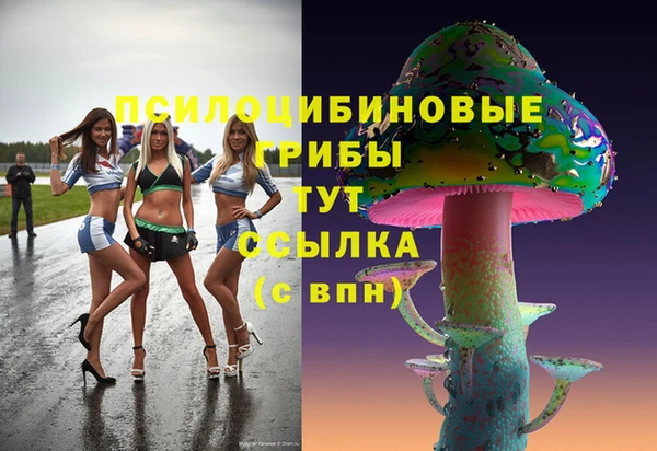 прущий лед Алзамай