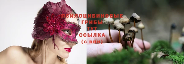 соль ск Нея