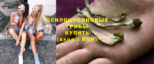 соль ск Нея
