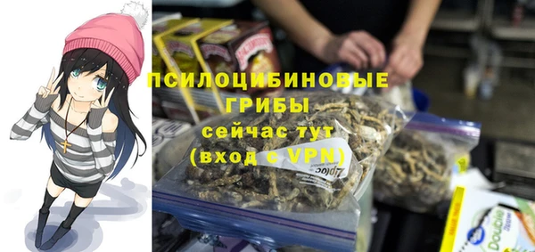 прущий лед Алзамай