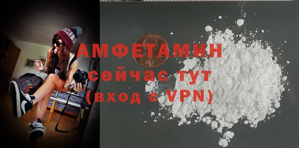 прущий лед Алзамай